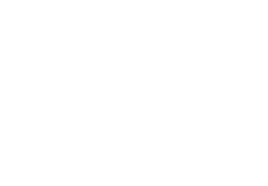 B2B audience
